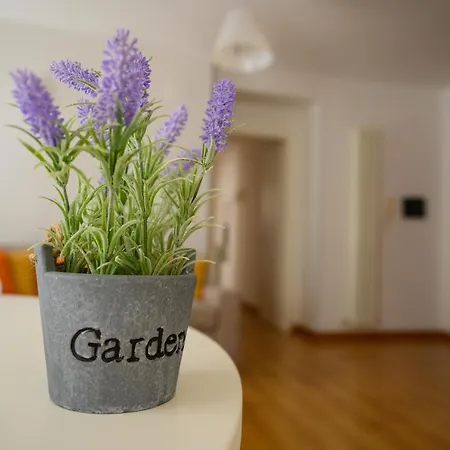 L'attichetto * 阿斯科利皮切诺