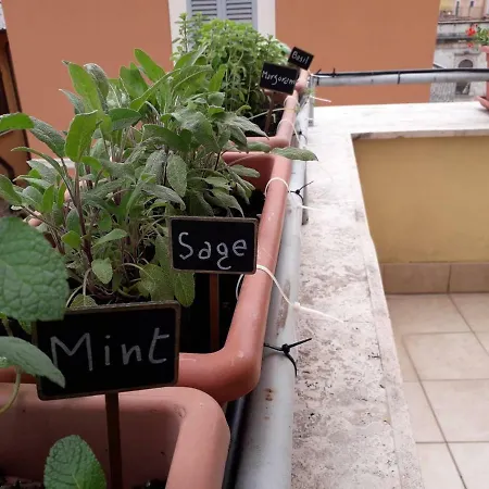 L'attichetto Apartamento